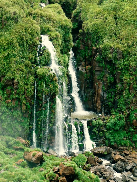 イグアスの滝3